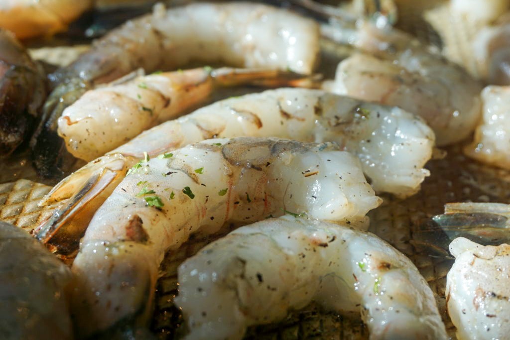 close-up of raw shrimp 