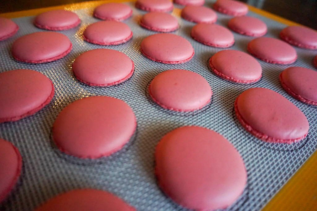 Close-up of baked macaron shells